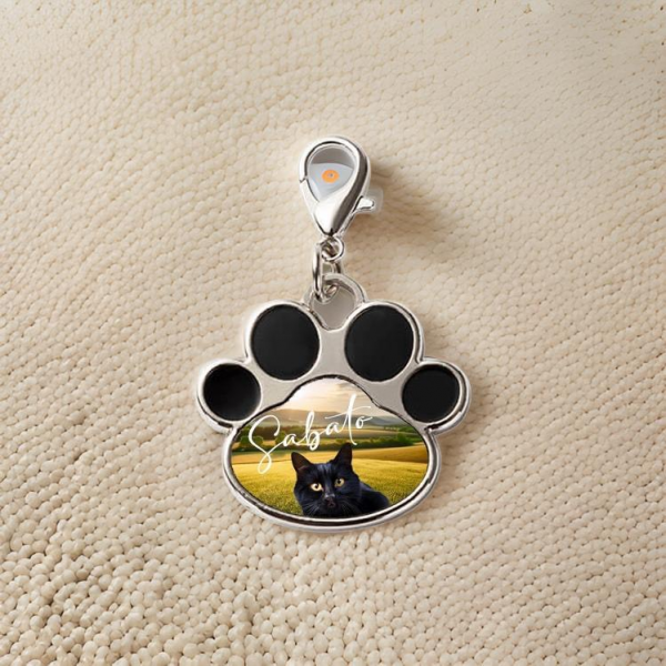 Pendentif, médaille en forme de patte,  à personnaliser, pré commande délai 8 à 10 jours